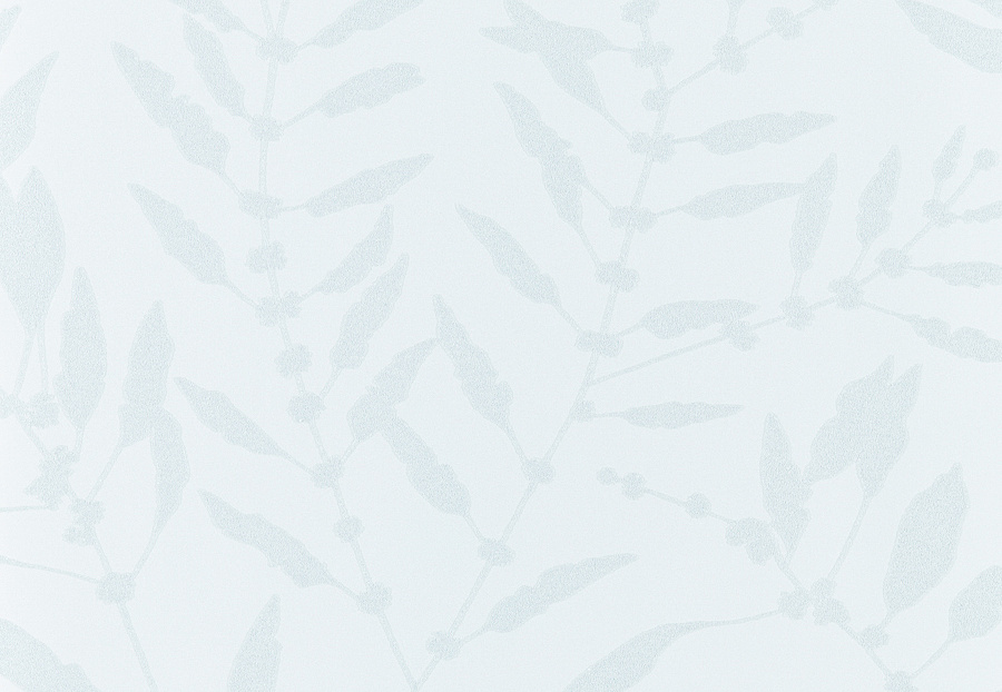 Обои Harlequin Anthozoa 111661