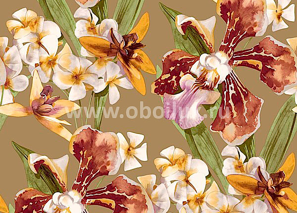 Обои Living Style Peony PN21309