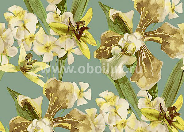 Обои Living Style Peony PN21304