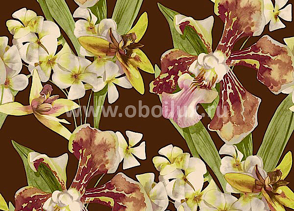 Обои Living Style Peony PN21307