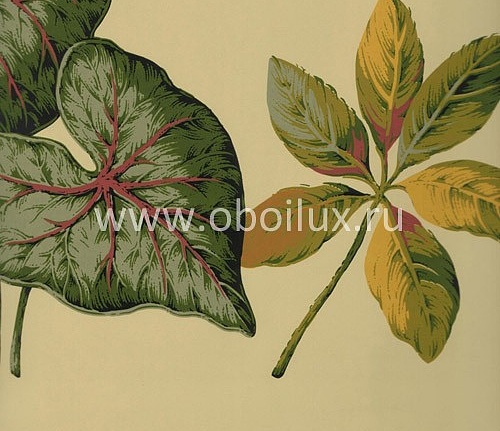Обои York Antonina Vella - Botanica VB6701