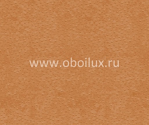 Обои York Ronald Redding - Designer Backgrounds II DS1116
