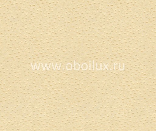 Обои York Ronald Redding - Designer Backgrounds II RB8956