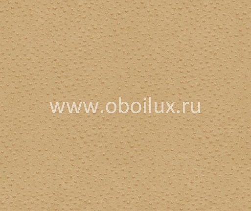 Обои York Ronald Redding - Designer Backgrounds II RB8961