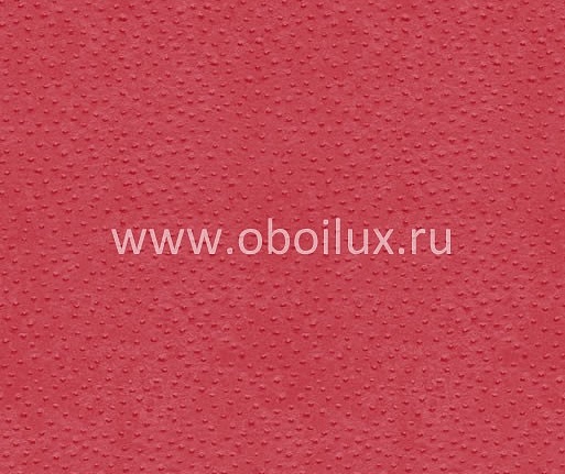 Обои York Ronald Redding - Designer Backgrounds II RB8959