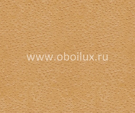 Обои York Ronald Redding - Designer Backgrounds II RB8960