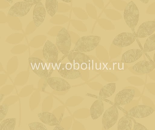 Обои York Ronald Redding - Designer Backgrounds II DS1123