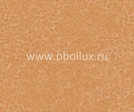 Обои York Ronald Redding - Designer Backgrounds II DS1064