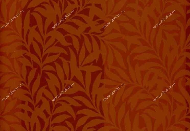 Обои York Ashford House - Flowers S.E. DL0708