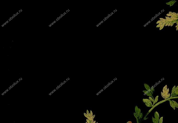 Обои York Ashford House - Flowers S.E. DL0631