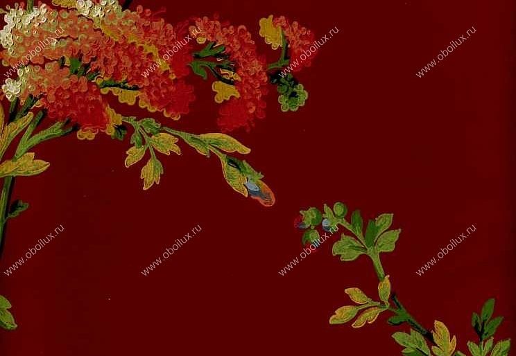 Обои York Ashford House - Flowers S.E. DL0627