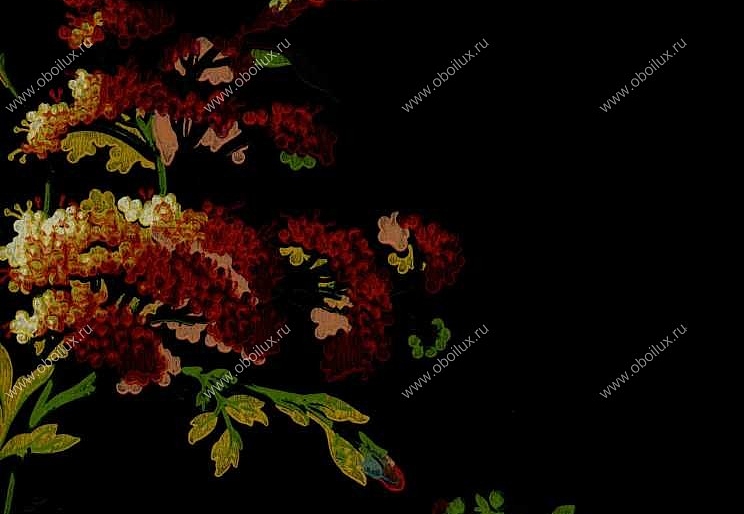 Обои York Ashford House - Flowers S.E. DL0629