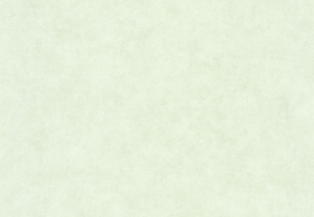 Обои Caselio Beton 2 BTO101487042