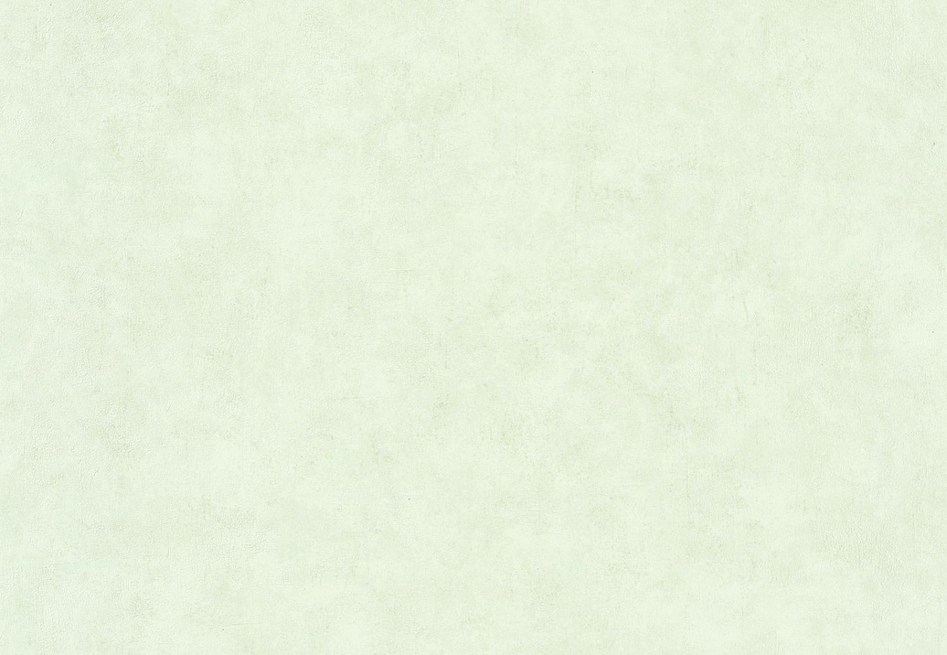 Обои Caselio Beton 2 BTO101487042