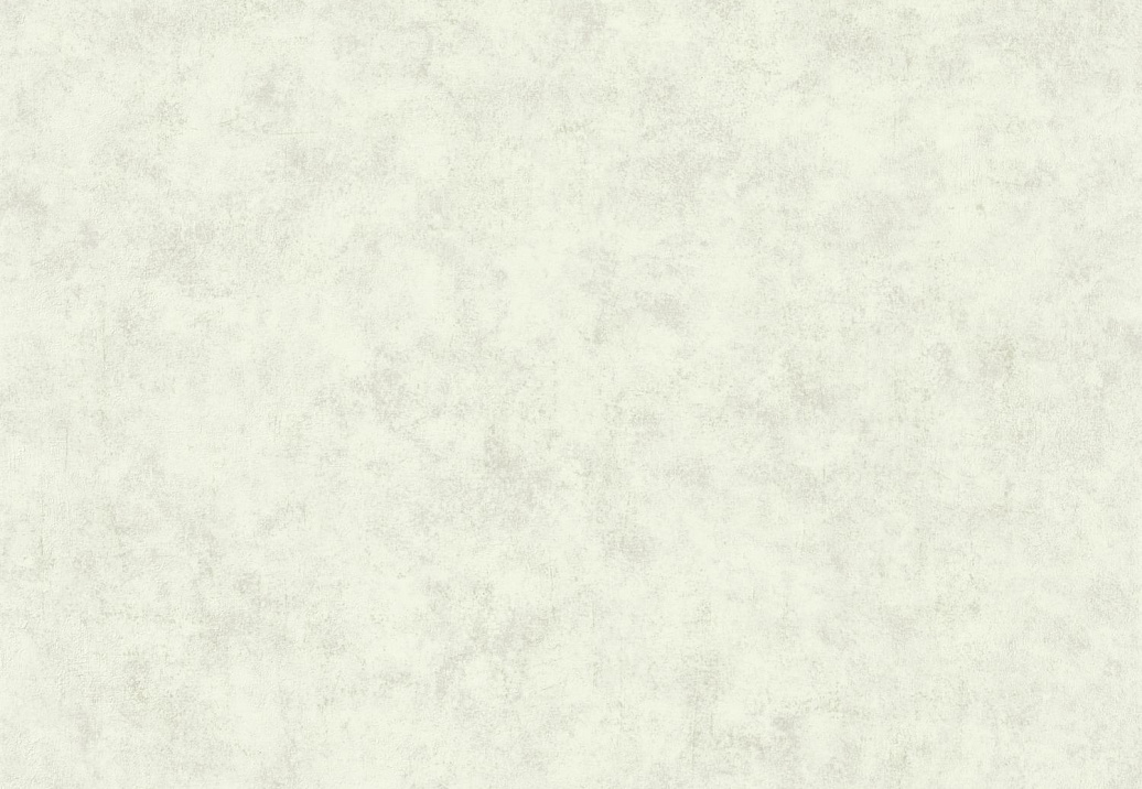 Обои Caselio Beton 2 BTO101487140