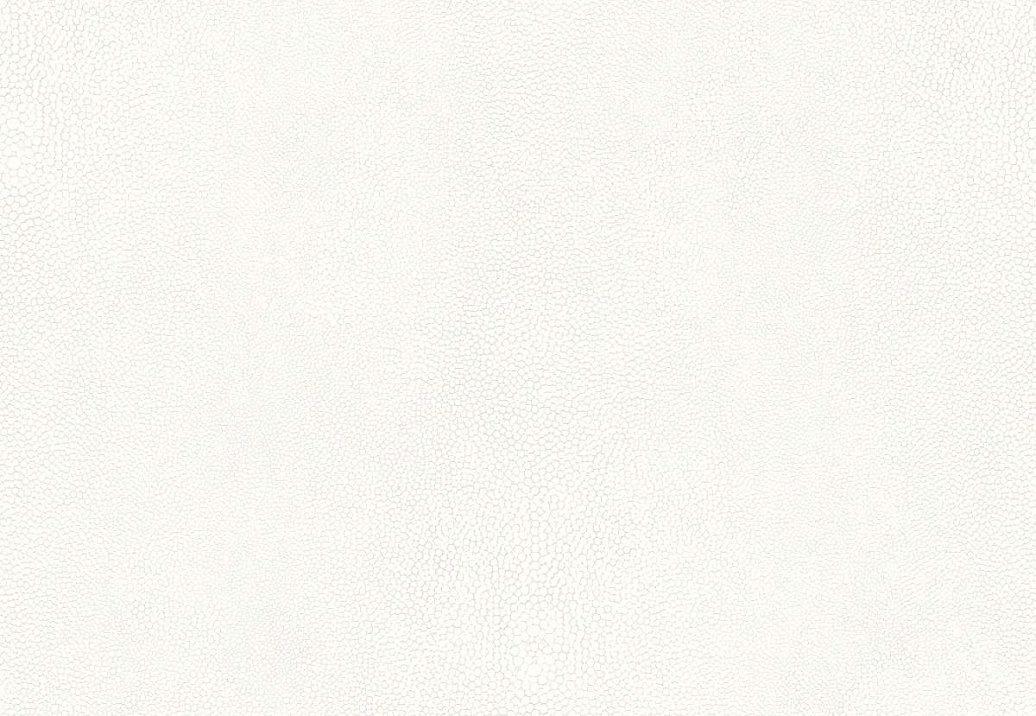Обои Galerie Natural FX 2 G67470