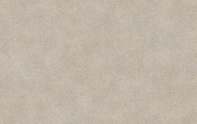 Французские обои Casadeco, коллекция So Color 5, артикул COLR26211204