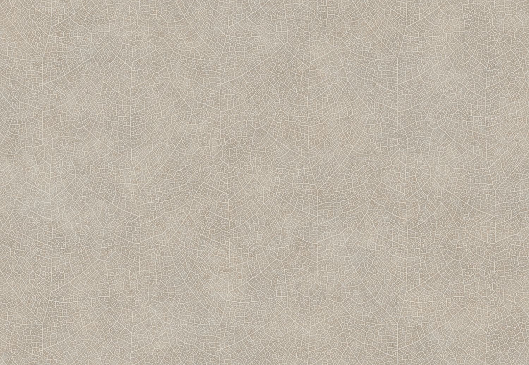 Обои Casadeco So Color 5 COLR26211204