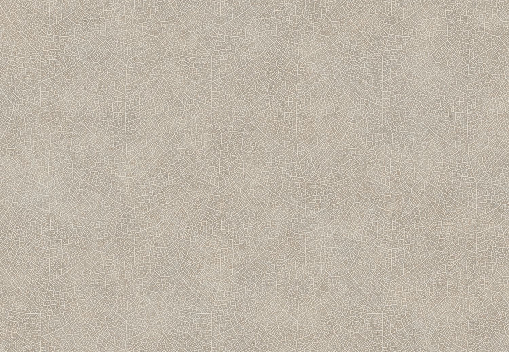 Обои Casadeco So Color 5 COLR26211204