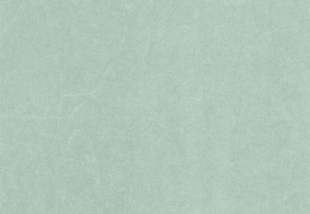 Обои Casadeco So Color 5 COLR82387254