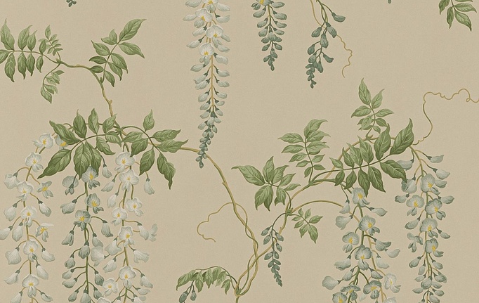 Английские обои Colefax and Fowler, коллекция Ashdown Wallpapers, артикул 07157/06