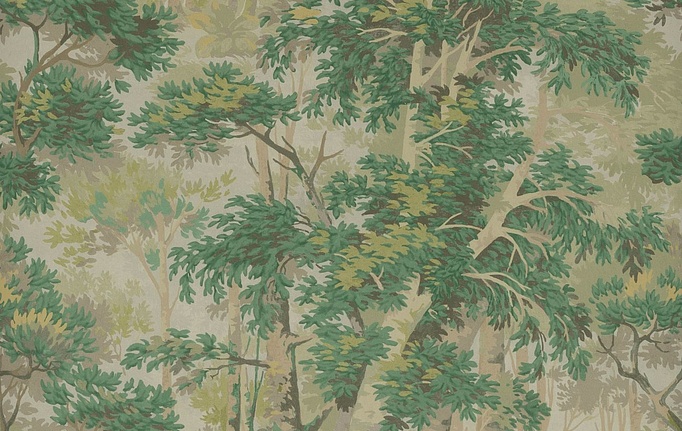 Английские обои Colefax and Fowler, коллекция Ashdown Wallpapers, артикул W7016/02