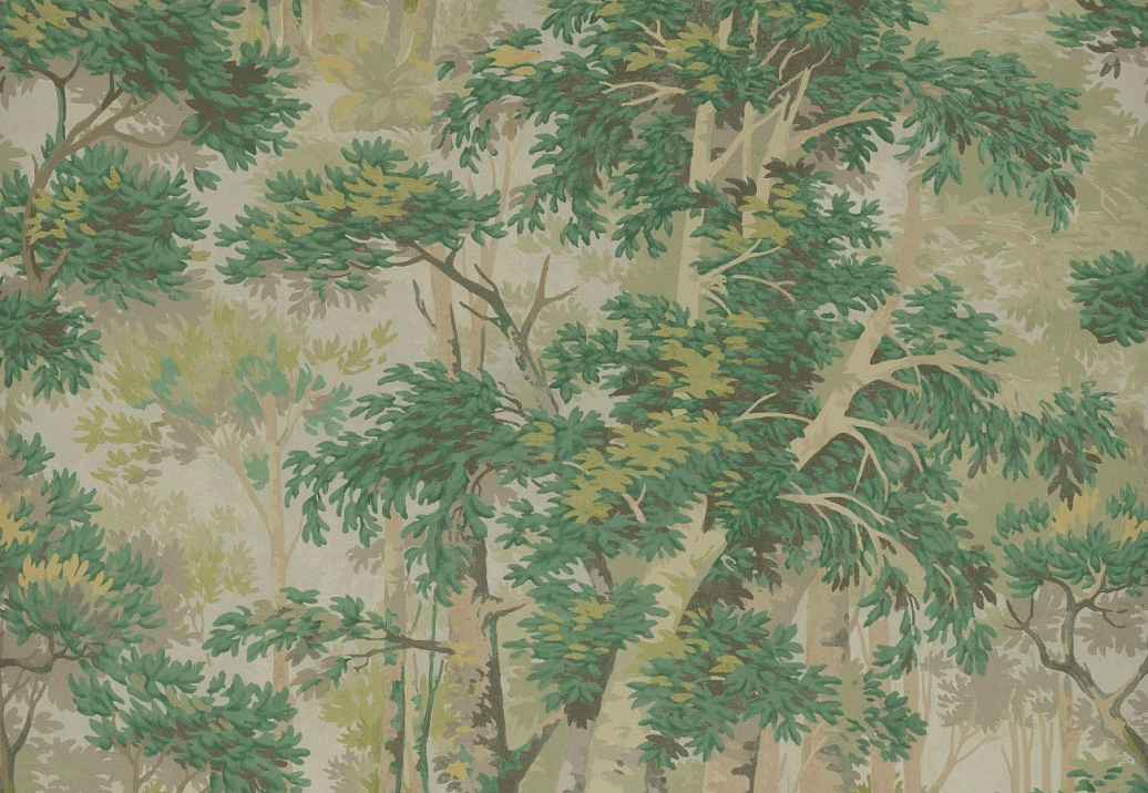 Обои Colefax and Fowler Ashdown Wallpapers W7016/02