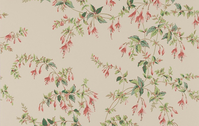 Английские обои Colefax and Fowler, коллекция Ashdown Wallpapers, артикул W7018/03
