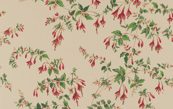 Английские обои Colefax and Fowler, коллекция Ashdown Wallpapers, артикул W7018/04