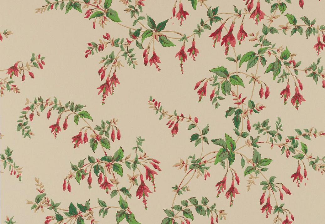 Обои Colefax and Fowler Ashdown Wallpapers W7018/04