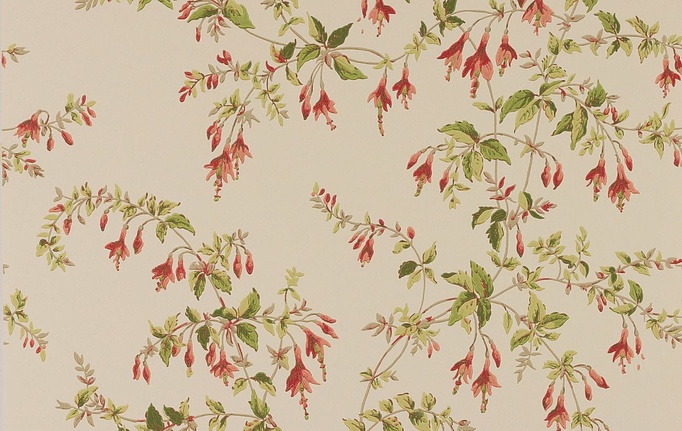 Английские обои Colefax and Fowler, коллекция Ashdown Wallpapers, артикул W7018/06