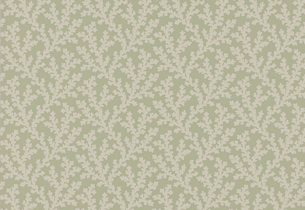 Обои Colefax and Fowler Ashdown Wallpapers W7020/04
