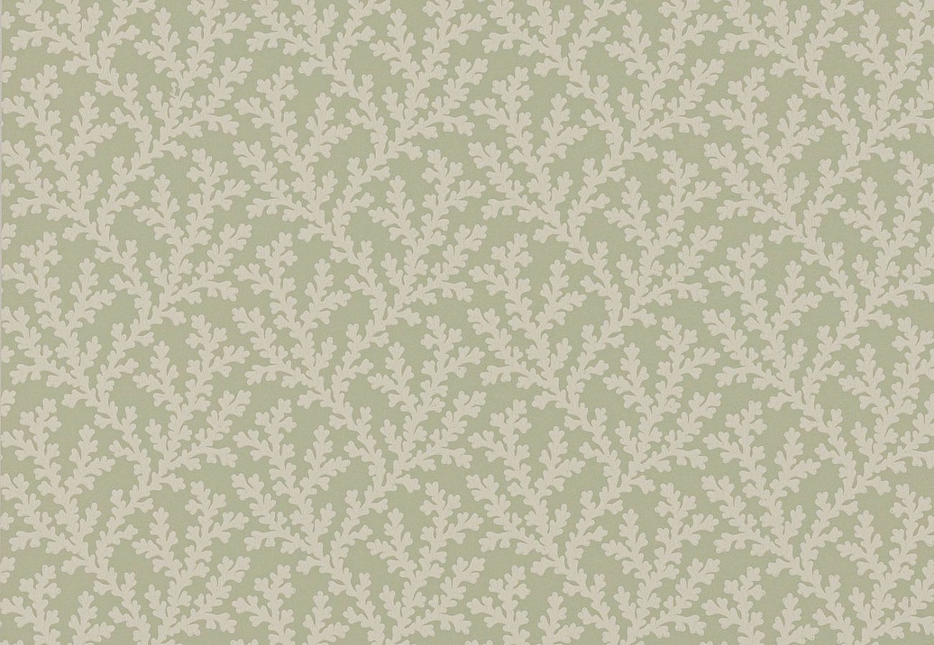 Обои Colefax and Fowler Ashdown Wallpapers W7020/04