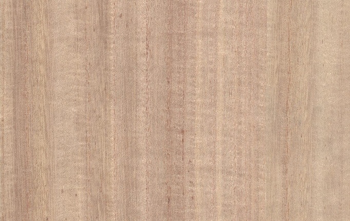 Китайские обои B&M, коллекция Living Woods, артикул H157NV1014