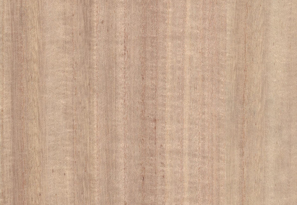 Обои B&M Living Woods H157NV1014