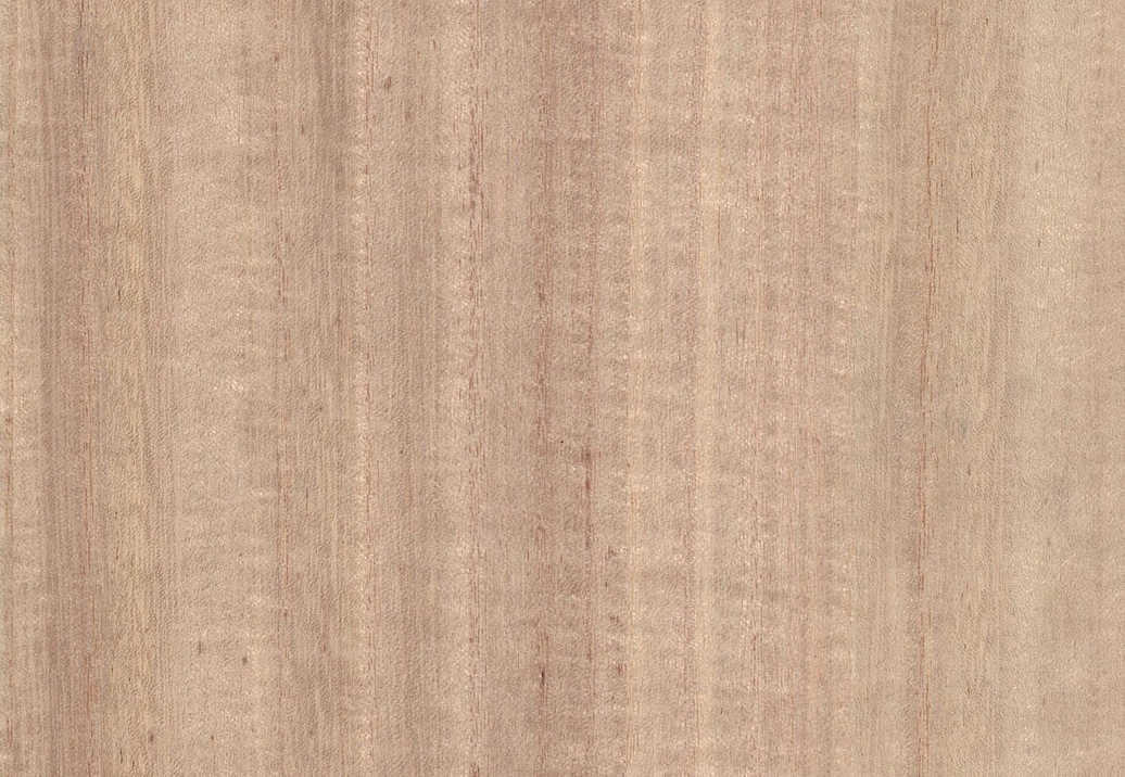 Обои B&M Living Woods H157NV1014