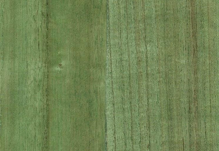 Обои B&M Living Woods H157NV1024