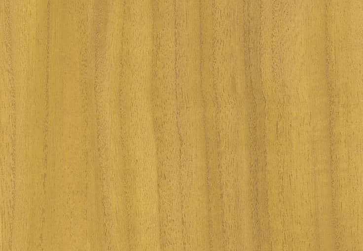 Обои B&M Living Woods H157NV1041