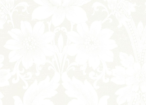 Обои Aura Silk Collection CS27369