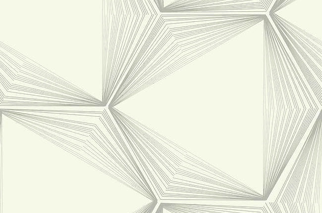 Обои York Candice Olson - Journey OL2718