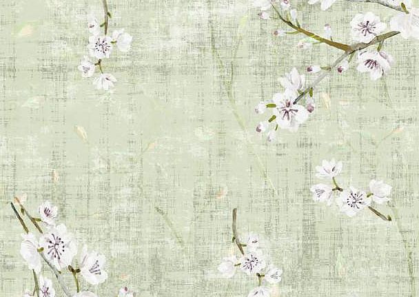 Обои Nicolette Mayer Blossom Chinoiserie Blossom Fantasia/Celadon