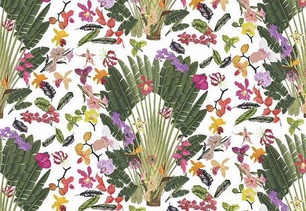 Обои Nicolette Mayer Regency Moderne Fantasy Tropical/White