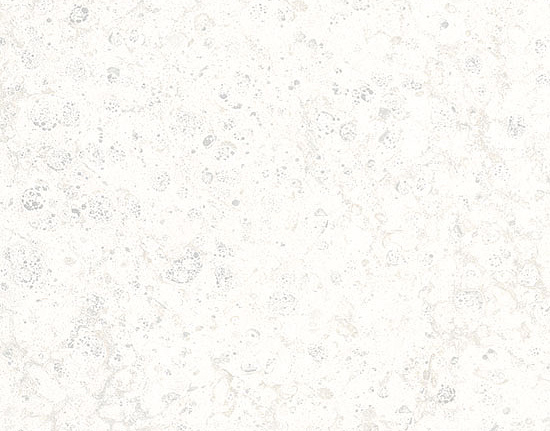 Обои Marburg Platinum 31025