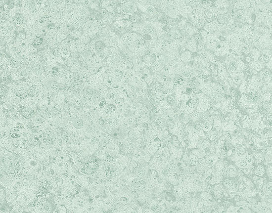 Обои Marburg Platinum 31028