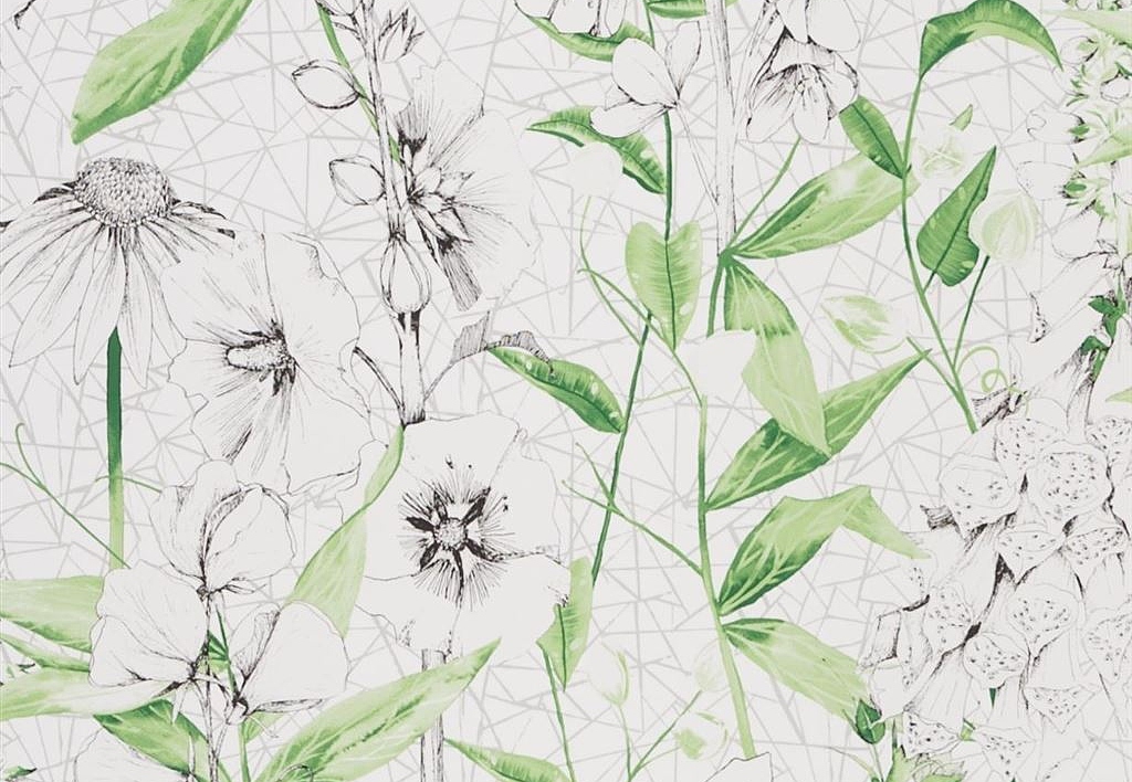 Обои Designers Guild Edit Florals PDG1050-01