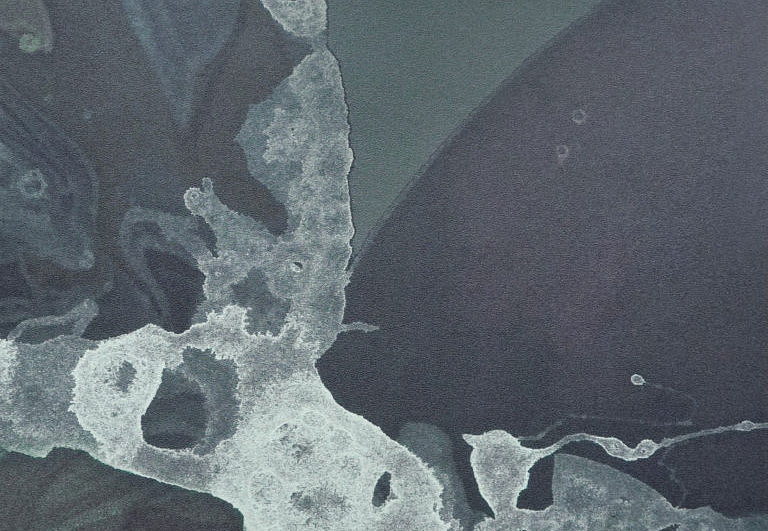 Панно и фотообои Calico Microcosmos Umbra