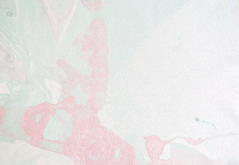 Панно и фотообои Calico Microcosmos Linger