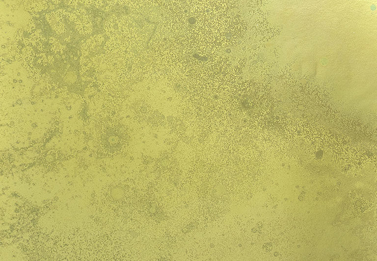 Панно и фотообои Calico Inverted Spaces Phoenix