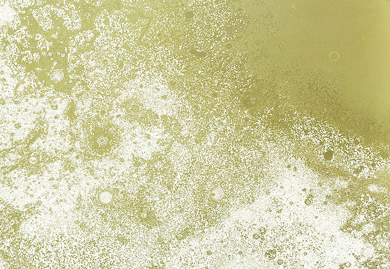 Панно и фотообои Calico Inverted Spaces Corona