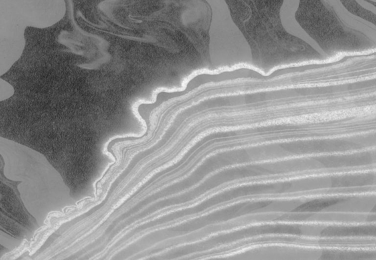 Панно и фотообои Calico Sumi Swell